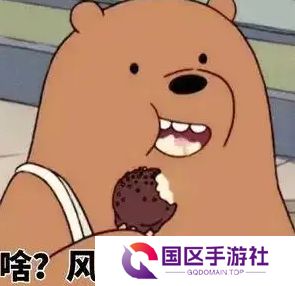 网络用语风太大我听不见是什么梗